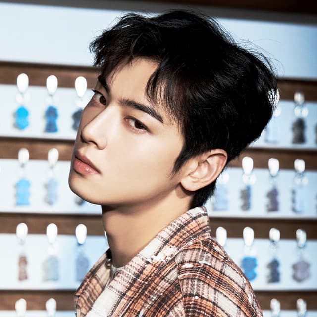 チャ・ジュンファン（Cha Junhwan)